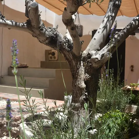 كوكيني بورتا روسا 5*