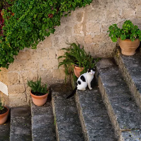Kokkini Porta Rossa Szálloda